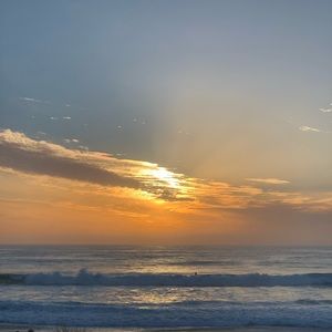 Meet your Posher, Lara